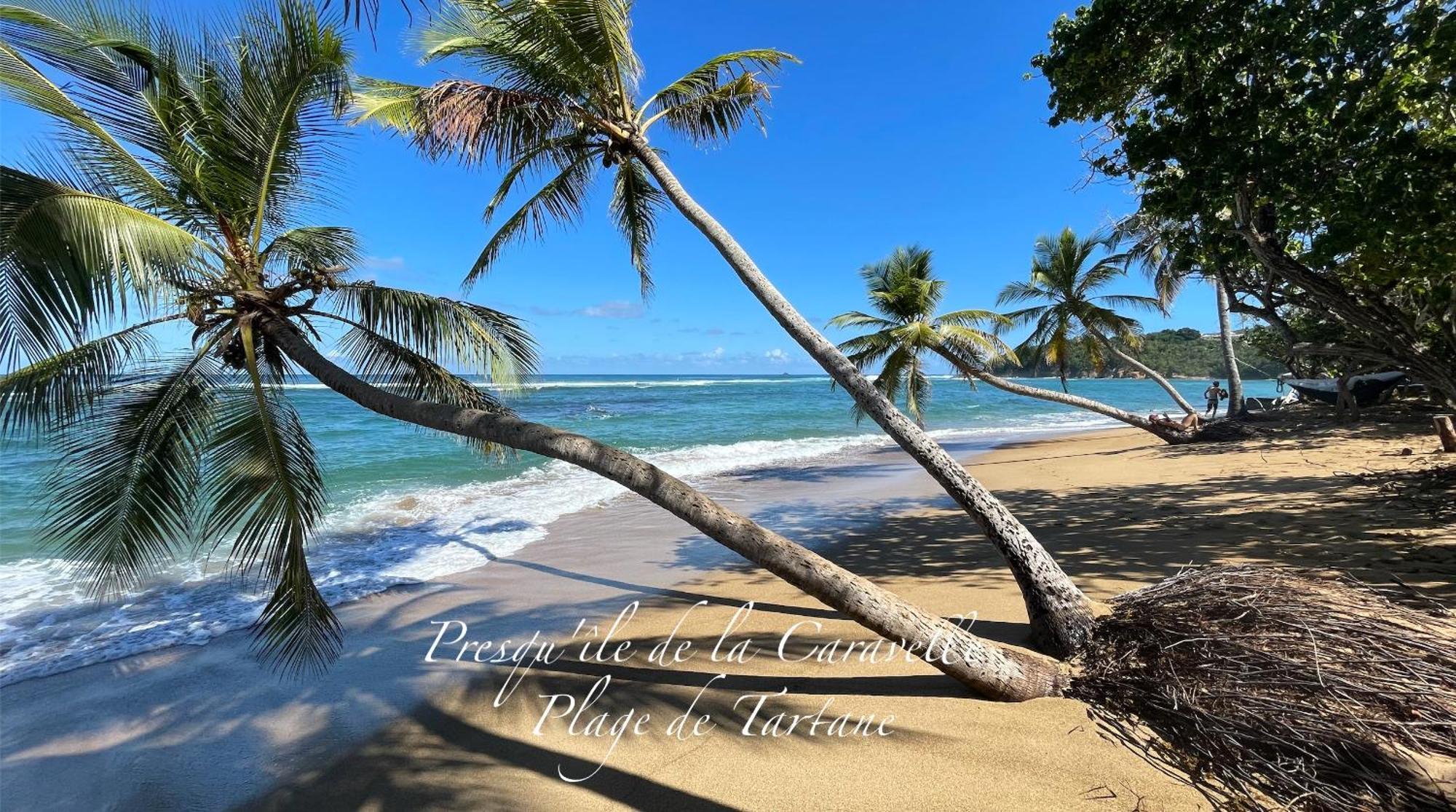 Les Bungalows De La Plage La Trinite Ngoại thất bức ảnh